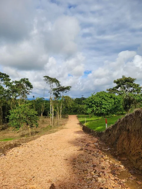 Finca en Venta 10.000 m² - Pedro Vicente Maldonado, a 10 Minutos del Centro, con Salida Al Río. Provincia de Pichincha — imagen 2