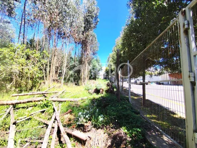 Terreno de 2.550 m² en Venta Dentro de La Urbanización Campo Alegre — imagen 2