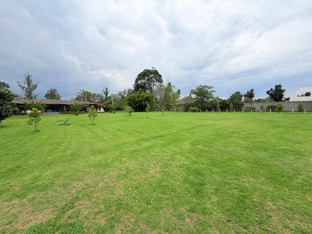 Puembo – Sector Mangahuantag | Venta de 2 Terrenos Independientes de 2.250 m² Cada Uno en Conjunto — imagen 2