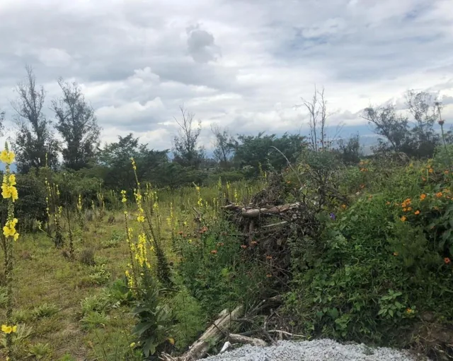 Terreno en Venta 7.080 m² en Checa — imagen 3