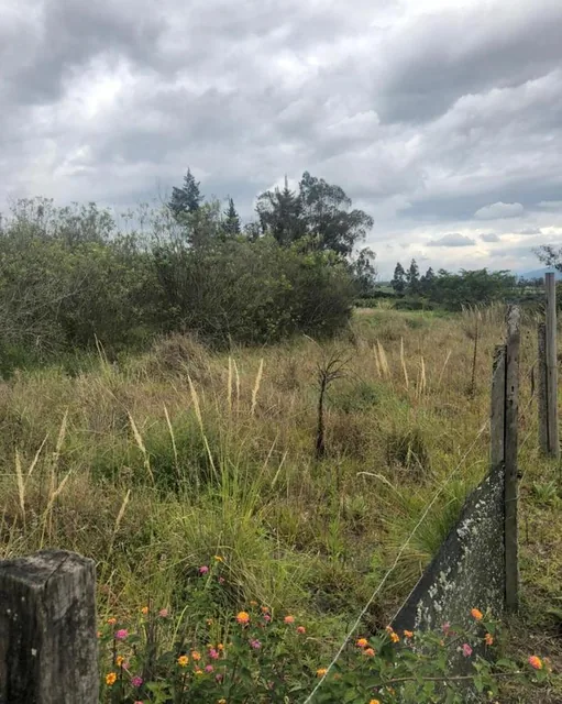 Terreno en Venta 7.080 m² en Checa — imagen 2