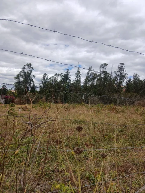 Terreno de 2400 m² en Venta en Tanda — imagen 5