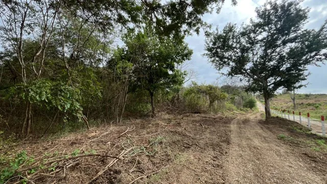 En Venta Terreno 100 Hectáreas, Vía a La Costa Km 44 - N. Dorado, Guayas — imagen 5