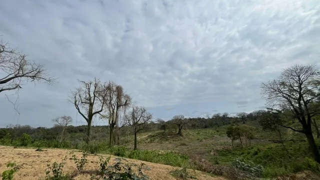 En Venta Terreno 100 Hectáreas, Vía a La Costa Km 44 - N. Dorado, Guayas — imagen 3