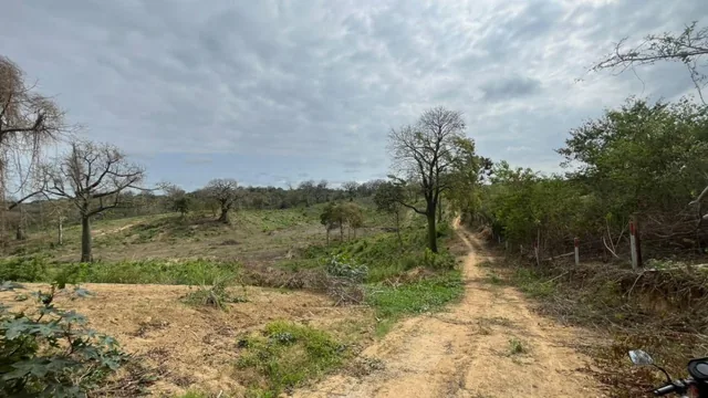 En Venta Terreno 100 Hectáreas, Vía a La Costa Km 44 - N. Dorado, Guayas — imagen 2