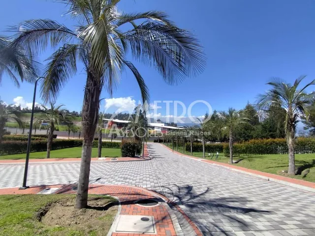 Terreno en Venta de 544 m² en Puembo — imagen 5