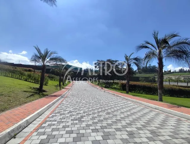 Terreno en Venta de 544 m² en Puembo — imagen 4
