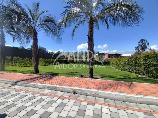 Terreno en Venta de 544 m² en Puembo — imagen 3