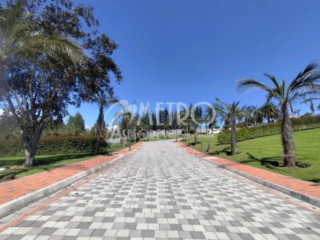 Terreno en Venta de 544 m² en Puembo — imagen 2