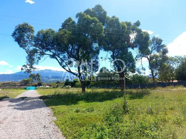 Terreno en Venta 519 m² en Puembo – Vía a Arrayanes — imagen 3