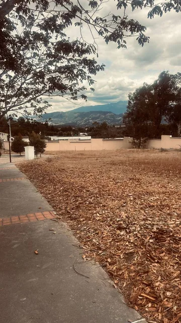 Venta Terreno Puembo Urbanización Privada Plano Vista — imagen 3