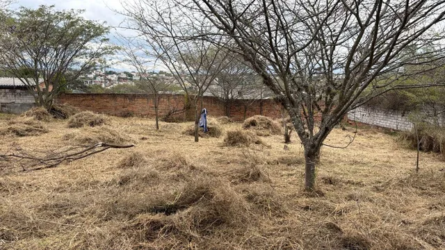 Terreno de 2063 m² en Venta en Tumbaco La Viña Alta — imagen 3