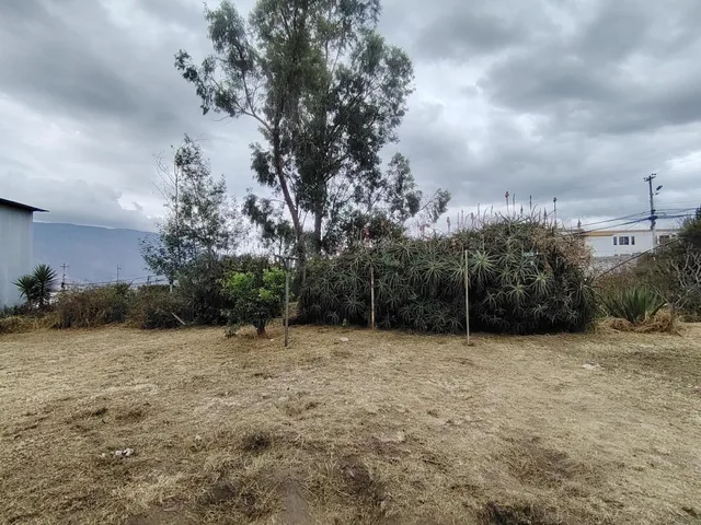 Venta Terreno Plano de 1.710 m² | 47 m de Frente | Cos 80% / 240% | San José de Morán — imagen 4