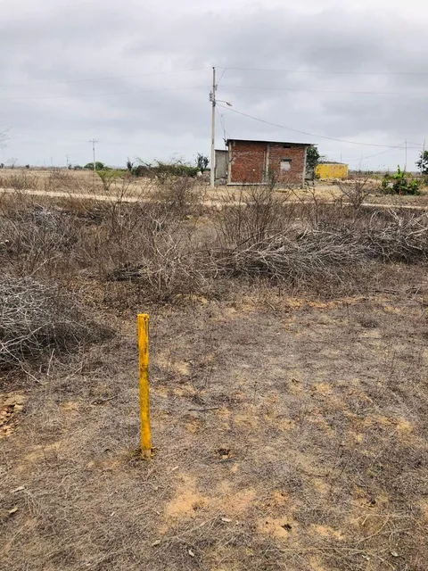 Terreno Playas Villamil Guayas, Guayas — imagen 5