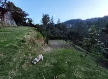 Terreno de 1500 m² en El Sector de Nayón, Ideal Para Desarrollar un Hostal de Mascotas, Guardería Ca — imagen 5