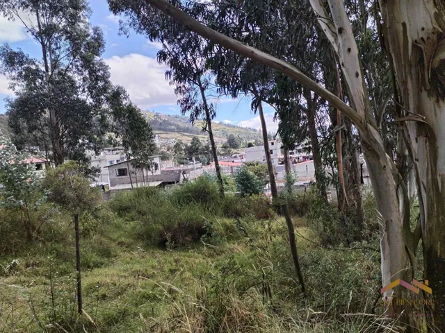 Conocoto Vendo Terreno Esquinero con Linda Vista en Ontaneda — imagen 5
