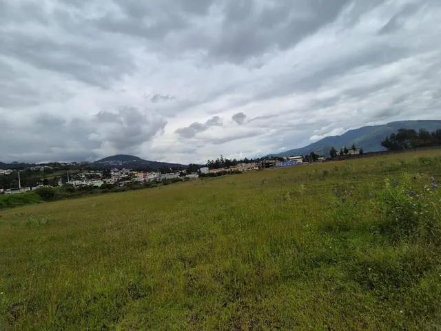 Se Vende Espectacular Terreno 20000 m² –puente 6 — imagen 4