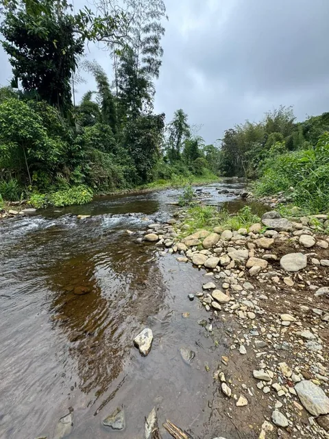 Terreno en Santo Domingo Tsachila — imagen 5