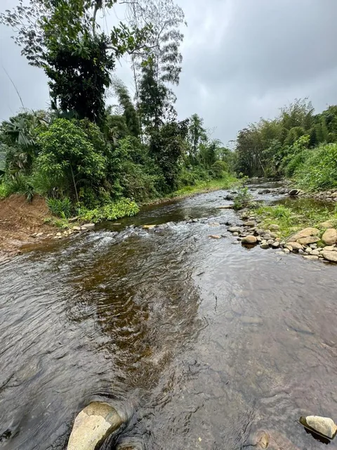 Terreno en Santo Domingo Tsachila — imagen 4