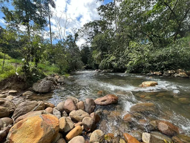 Vendo Terreno de 1 Hectárea en Pedro Vicente Maldonado — imagen 5