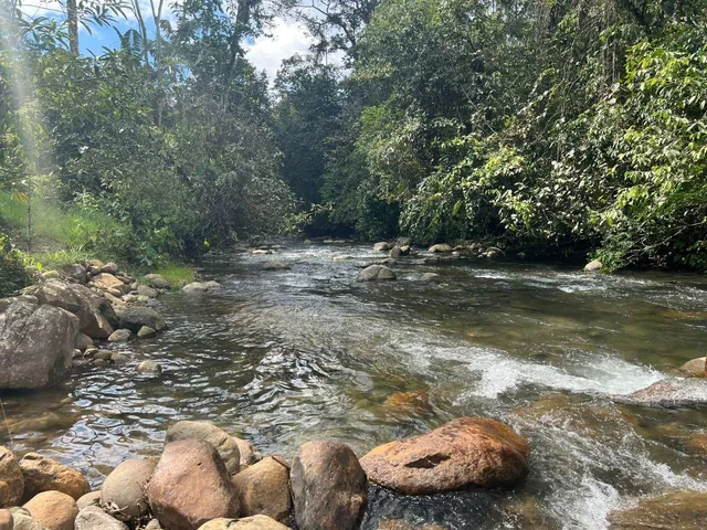 Vendo Terreno de 1 Hectárea en Pedro Vicente Maldonado — imagen 4