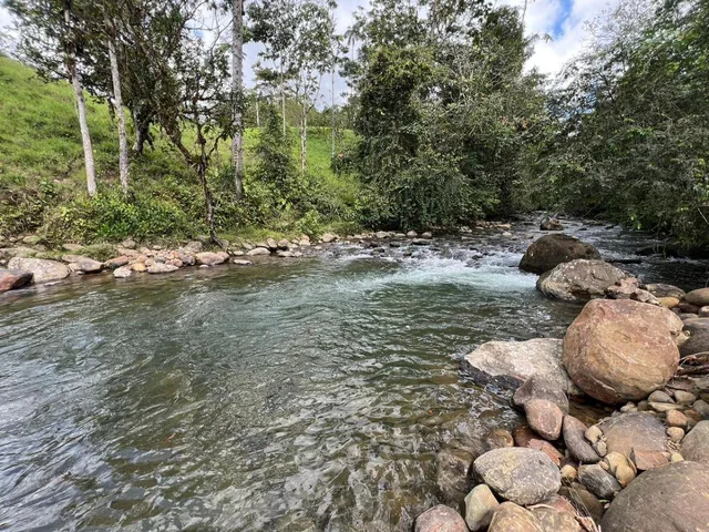 Vendo Terreno de 1 Hectárea en Pedro Vicente Maldonado — imagen 3