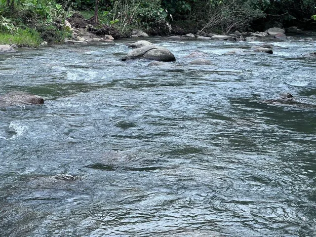Vendo Terreno de 1 Hectárea en Pedro Vicente Maldonado — imagen 2