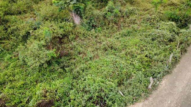 Terreno de 21747.73 en La Via a Daule en El Parque Industrial Petrillo - Nobol, Guayas — imagen 2