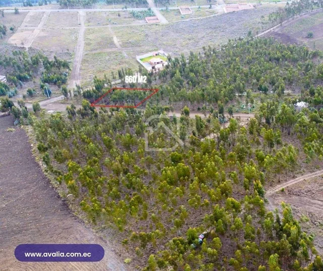 Venta de Terreno Al Norte de Riobamba, Sector El Bosque, 660 m², Chimborazo — imagen 4