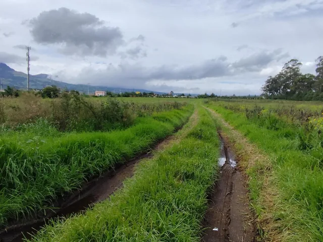 Terreno de Venta en Machachi, Sobre La Panamericana, Esquinero, 3.6 Hectáreas — imagen 2