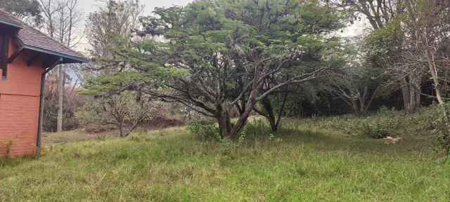 Venta de Terreno en Cumbayá, Ideal Para Proyecto Inmobiliario — imagen 5