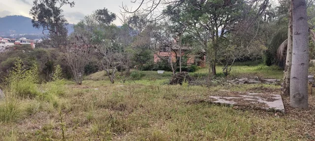 Venta de Terreno en Cumbayá, Ideal Para Proyecto Inmobiliario — imagen 4