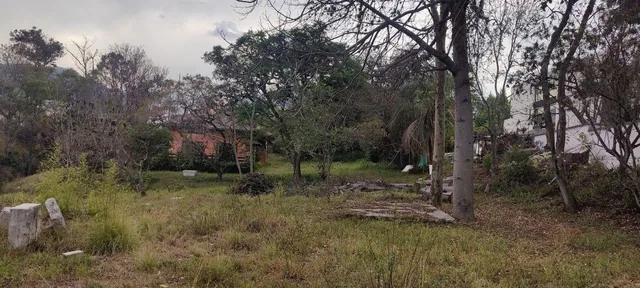 Venta de Terreno en Cumbayá, Ideal Para Proyecto Inmobiliario — imagen 3