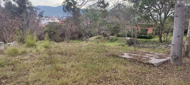 Venta de Terreno en Cumbayá, Ideal Para Proyecto Inmobiliario — imagen 2