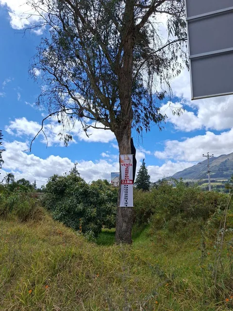 Venta Terreno Urbanizable 2.5 Has en Cotacachi - Sector El Sagrario, Calle Cuba, Imbabura — imagen 3