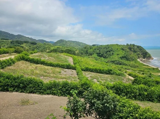 Venta de Lotes de Terreno en Jama, Manabí, Manabí — imagen 2