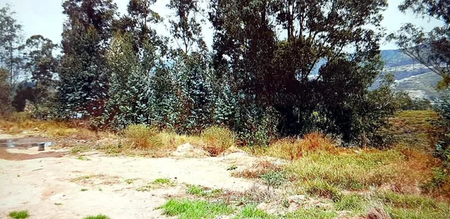 Terreno en Venta 2428 m². Para Proyecto Inmobiliario. Urb. Einstein, Norte de Quito — imagen 3