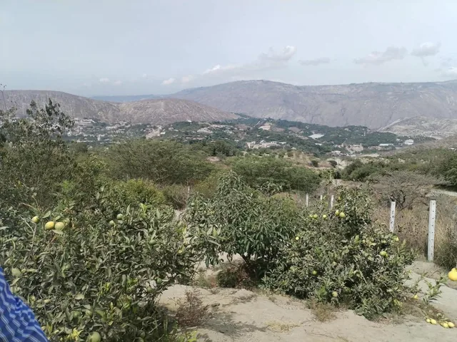 Terreno en Venta Sector Guayllabamba (Coop. La Sofia) — imagen 4
