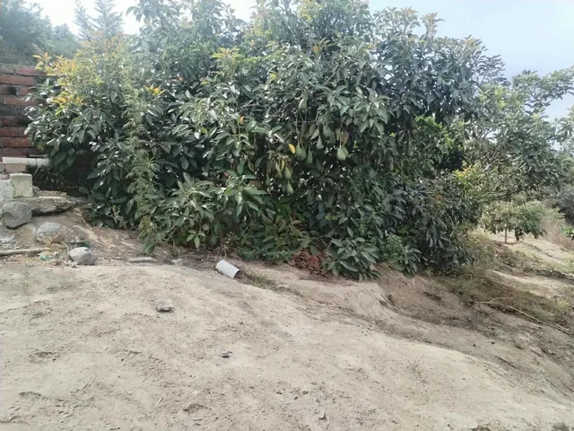 Terreno en Venta Sector Guayllabamba (Coop. La Sofia) — imagen 3