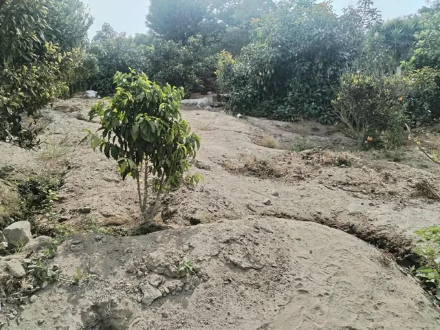 Terreno en Venta Sector Guayllabamba (Coop. La Sofia) — imagen 2