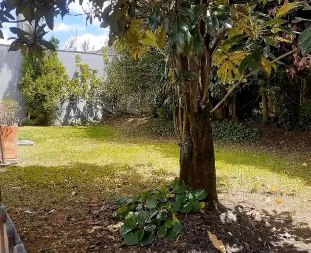 Venta Casa o Terreno Para Constructor Dentro de La Urbanización Miravalle Cumbayá — imagen 3