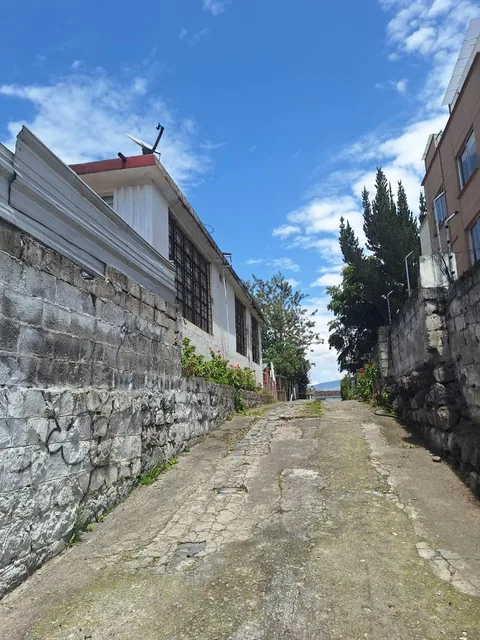 Terreno en La Concepción — imagen 3