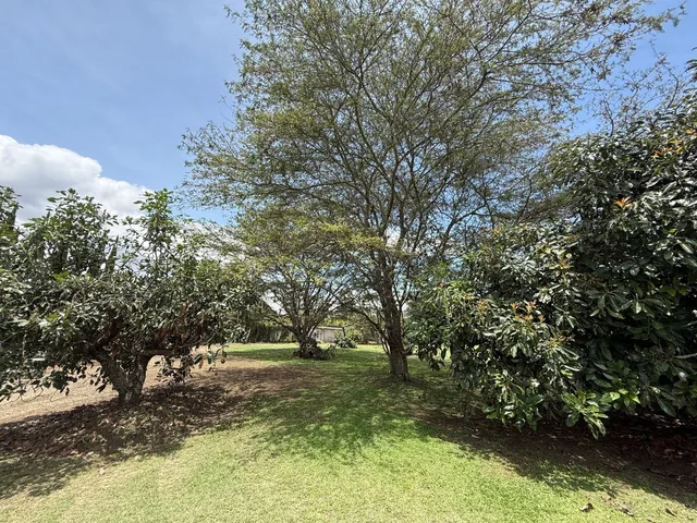 Vendo Excelente Terreno Sector Hilacril Tumbaco — imagen 5