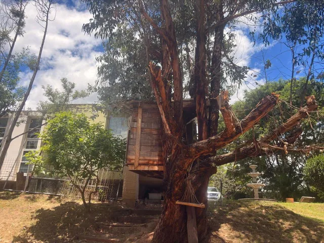 Terreno de 2300 m² en Venta en Cumbayá Calle Ceibos Cerca del Parque de Cumbaya — imagen 4