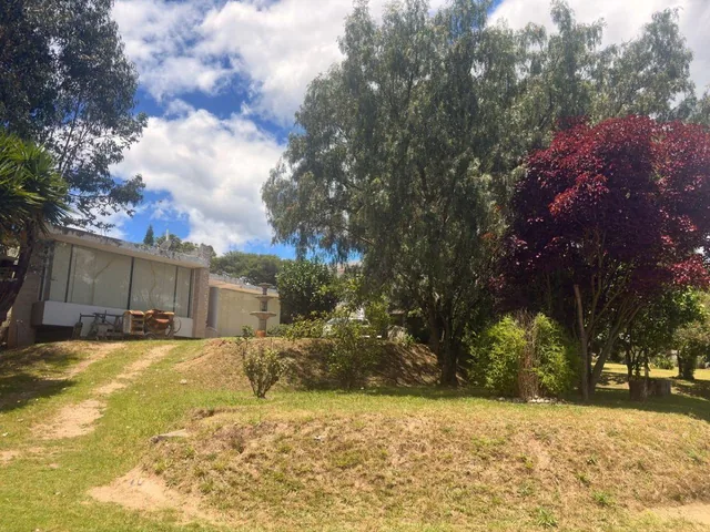 Terreno de 2300 m² en Venta en Cumbayá Calle Ceibos Cerca del Parque de Cumbaya — imagen 3