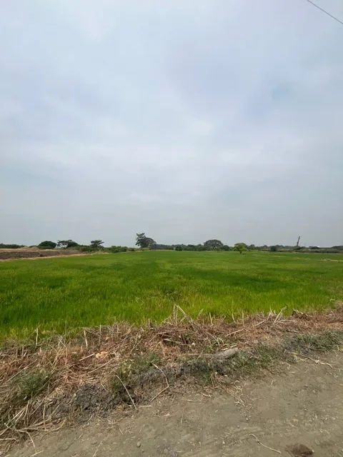 Terreno Vía Al Pan Junto a Zentra Numa, Guayas — imagen 3