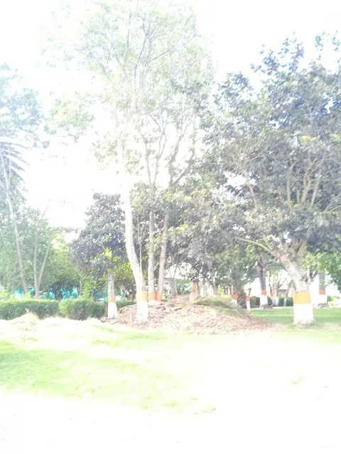 Terreno Ideal Para Proyectos Inmobiliarios, Excelente Ubicación — imagen 2