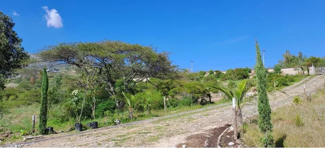 Terreno de Venta Ilalo 2.579 m $387.00 — imagen 3