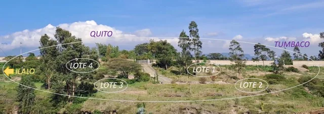 Terreno de Venta Ilalo 2.579 m $387.00 — imagen 2
