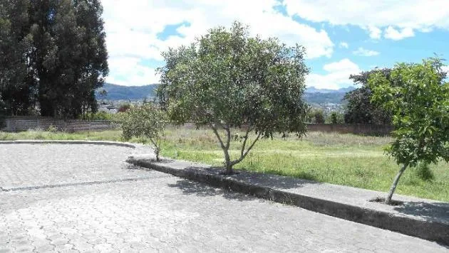 Venta Terreno 1,663.25 m² - Sector San Gabriel — imagen 3